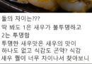 맛있는 냉동칵테일새우 구별하는 법